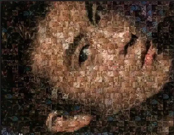 “艳照门”10周年记：世界变了，而陈冠希没有