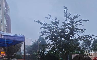 一、明星违约代言要赔偿多少怎么办